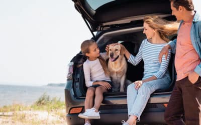 Remettre sa voiture en état après les vacances