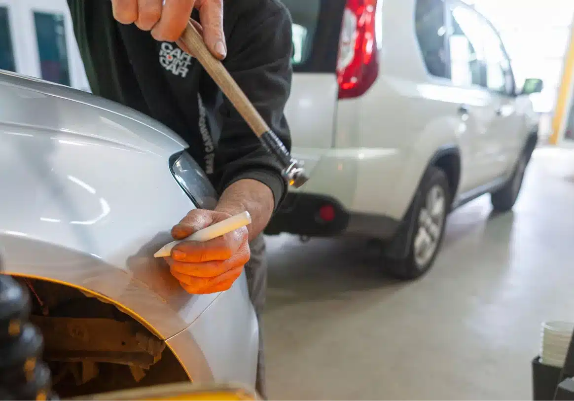 Insectes-et-resines-incrustes-sur-la-carrosserie
